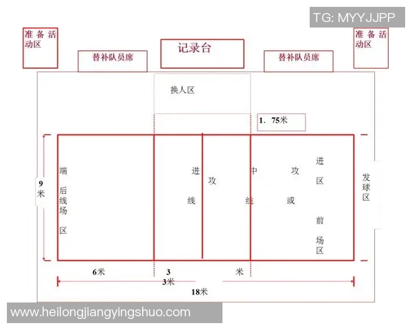 广州排球队比赛经验深度对比分析及其影响因素探讨 广州排球队比赛经验深度对比分析及其影响因素探讨