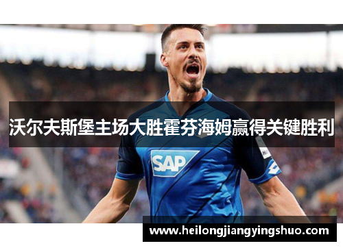 沃尔夫斯堡主场大胜霍芬海姆赢得关键胜利