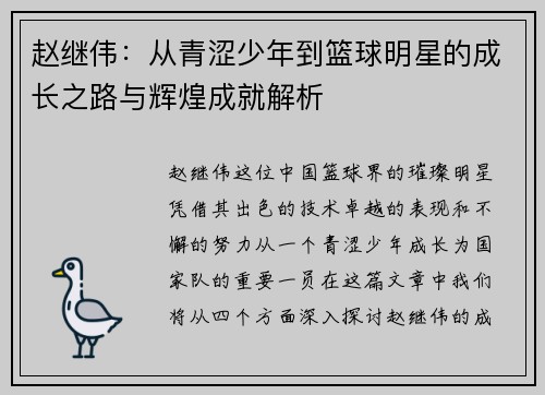 赵继伟：从青涩少年到篮球明星的成长之路与辉煌成就解析